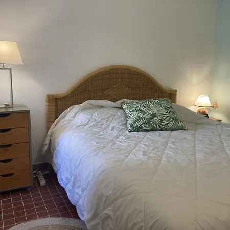 Apartamento 6/7 Pers Climatisee - Proche Port Et Village - Parking Prive - Fr-1-796-36 Gruissan