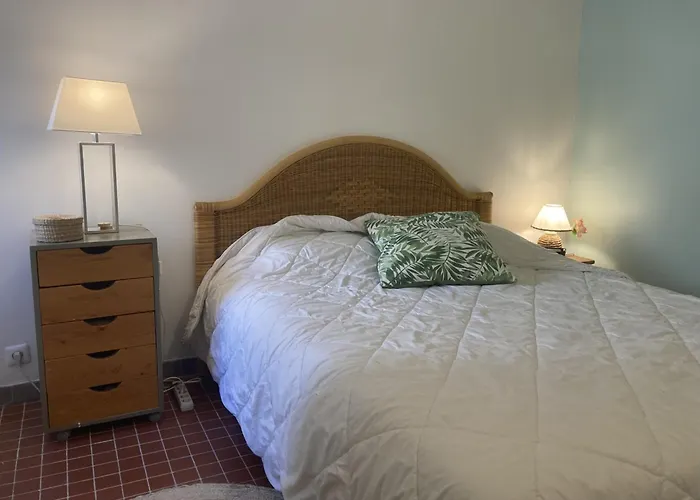 Lejlighed 6/7 Pers Climatisee - Proche Port Et Village - Parking Prive - Fr-1-796-36 Gruissan